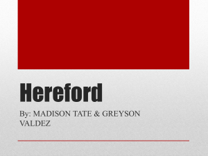 Hereford - Northwest ISD Moodle