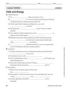Ch. 2 Lesson 4 Outline Photosynthesis