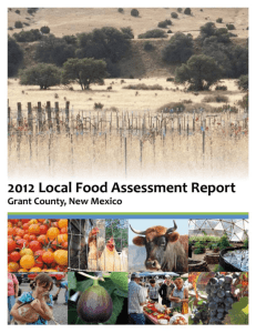 Local_Food_System_Assessment_Report (FINAL DRAFT!)