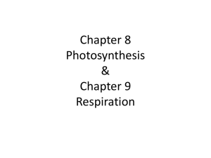 Chapter 8 Photosynthesis & Chapter 9 Respiration