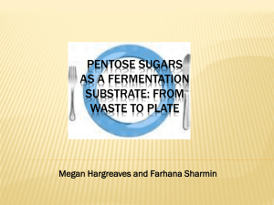 Pentose sugars as a fermentation substrate: from waste to plate