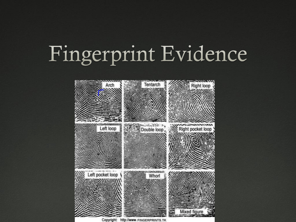presentation of fingerprint evidence in court