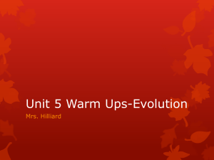 Unit 5 Warm Ups