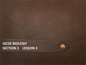 iGCSE Biology Section 3 lesson 3