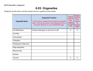 06.03 Organelles Assignment