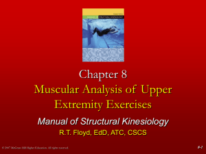 Muscular Analysis of Upper Extremity Exercises