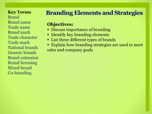 06-3 Branding Elements and Strategies 3_