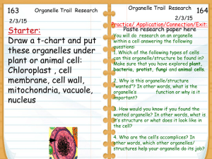 Organelle Trail Research and Poster