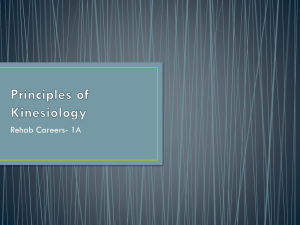 Principles of Kinesiology