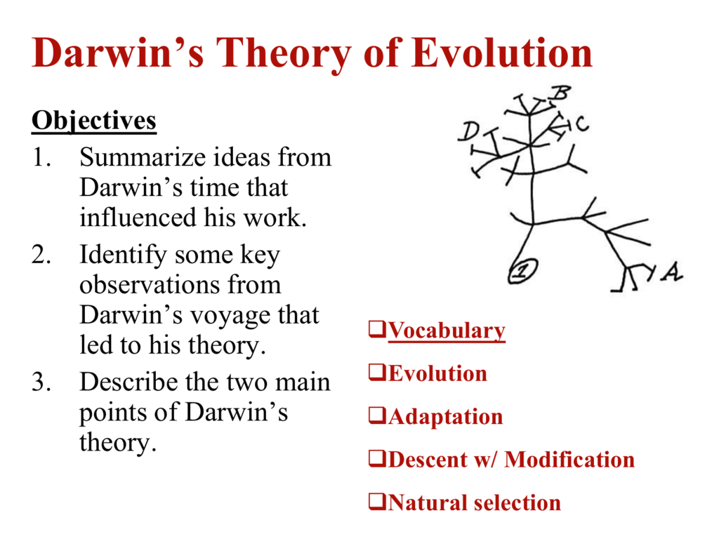 theory of evolution charles darwin summary
