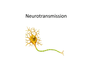 Neurotransmission - AP Psychology Community