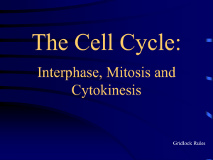 Cell Division: Mitosis and Cytokinesis