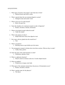 Review questions created in class