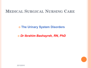 urinary tract system lecture 2