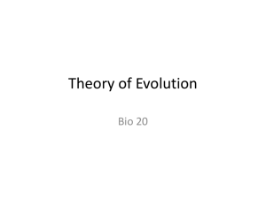 Theory of Evolution Powerpoint presentation
