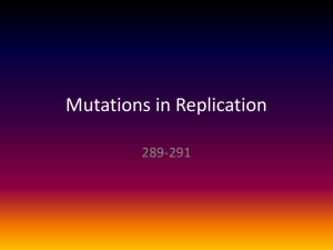 Mutations in Replication
