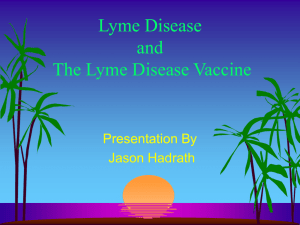 Lymes Disease Vavine