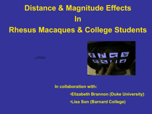 Cognitive Psychophysics in Rhesus Macaques