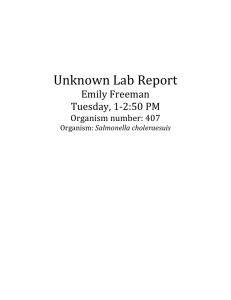 Microbiology unknown lab report
