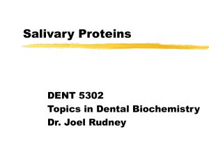 Salivary Proteins