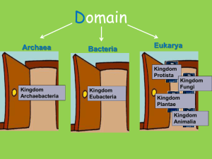Domains and Kingdoms - Effingham County Schools