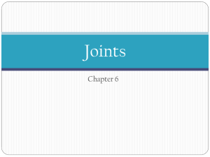Joints - Mrs. Sanborn's Science Class