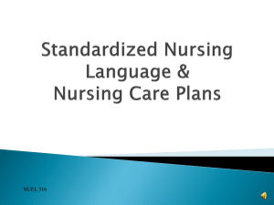 Standardized Nursing Language & Nursing Care Plan PowerPoint