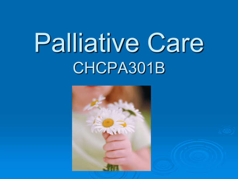 palliative care