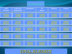 Cell Growth and Division JEOPARDY