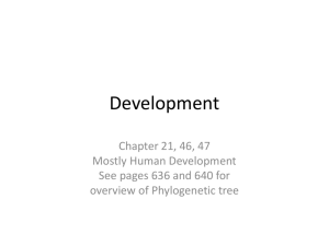 Development - Course