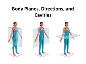 Body Planes, Directions, and Cavities