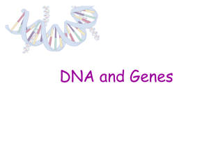 A gene