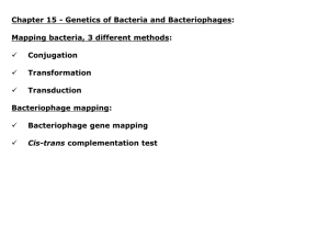Genetics of bacteria and bacteriophages