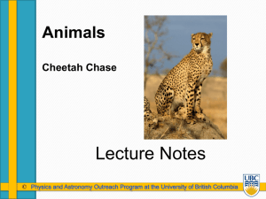 SU-Cheetah_Chase_Lecture_Notes
