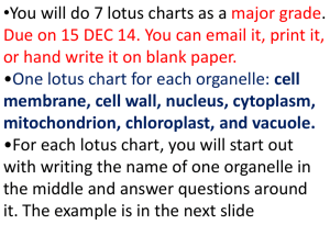 Cell Lotus chart Organelle Project