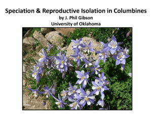 Columbine case - University of Oklahoma