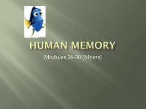 Human Memory - haltliappsych