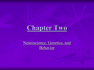 Chapter Two - HopewellPsychology