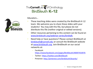 How do birds vocalize? - BirdSleuth K-12