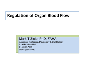 Regulation of Blood Flow