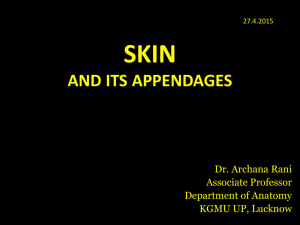 Skin and its appendages