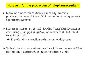 Host cells for the production of biopharmaceuticals