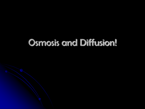Cellular Transport Osmosis and Diffusion!