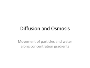 Diffusion and Osmosis - White Plains Public Schools