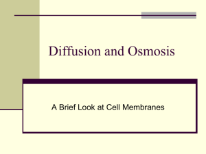 Diffusion and Osmosis