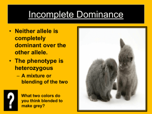 Incomplete and Codominance