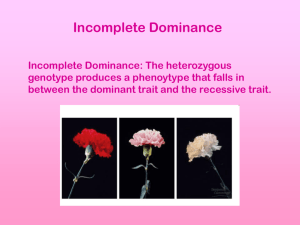 Incomplete Dominance PPT