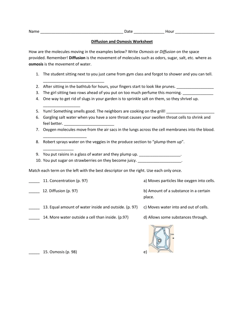 Diffusion-and-Osmosis Inside Diffusion And Osmosis Worksheet Answers