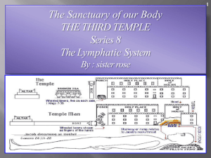 The Ark of the Covenant in our Body