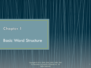 Basic Word Structure
